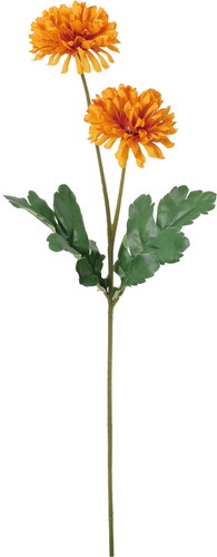 ノーブルマムスプレーの画像