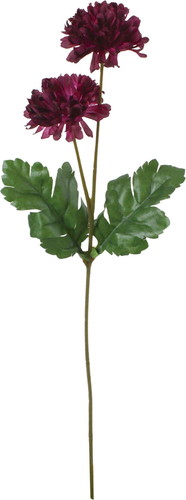 ノーブルマムスプレーの画像