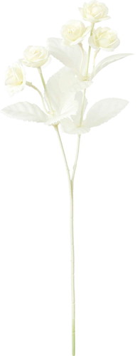 ネージュミニローズスプレーの画像