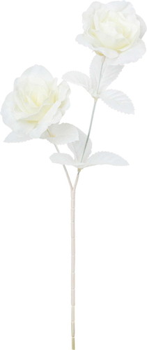 ネージュローズスプレーの画像