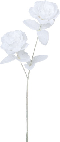 ネージュローズスプレーの画像