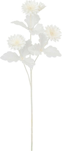 ネージュヤグルマスプレーの画像