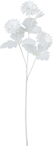 ネージュヤグルマスプレーの画像