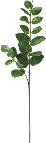 ノーブルユーカリスプレーの画像