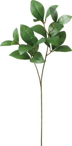 ノーブルリーフスプレーの画像