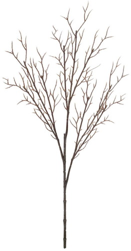 カラーショートブランチの画像