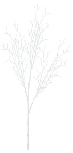 カラーショートブランチの画像