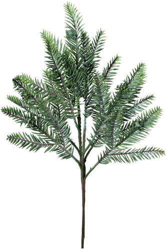 コウヨウザンスプレーの画像