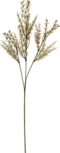 ノーブルミックスコニファースプレーの画像