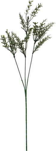 ノーブルミックスコニファースプレーの画像