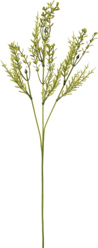 ノーブルミックスコニファースプレーの画像