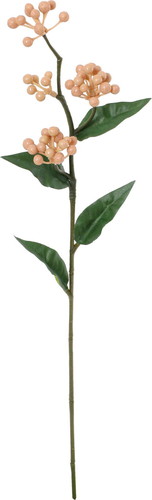 ノーブルベリースプレーの画像