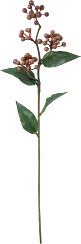 ノーブルベリースプレーの画像