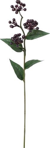 ノーブルベリースプレーの画像