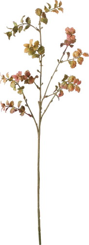 カラードグラススプレーの画像