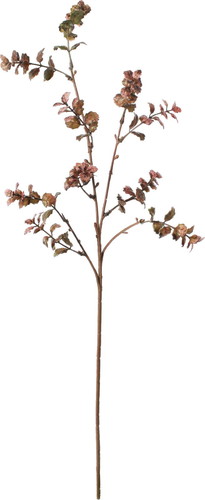 カラードグラススプレーの画像