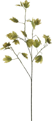 ハンモックリーフスプレーの画像