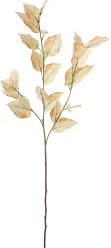 ケヤキリーフスプレーの画像