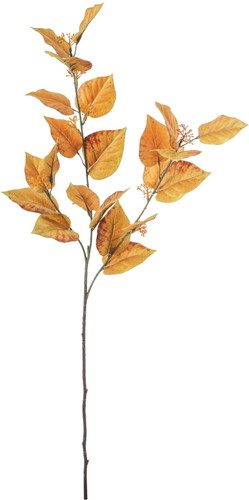 ケヤキリーフスプレーの画像