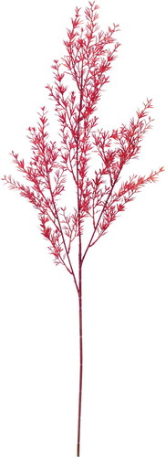 カラードメラレウカスプレーの画像