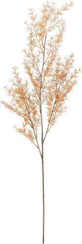 カラードメラレウカスプレーの画像