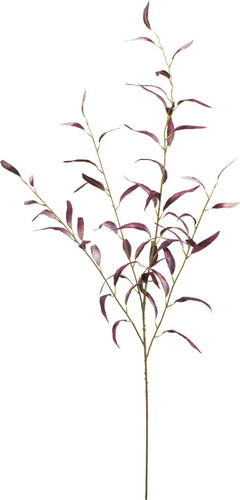 ベルベットユーカリプタススプレーの画像