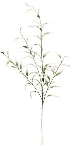 ベルベットユーカリプタススプレーの画像