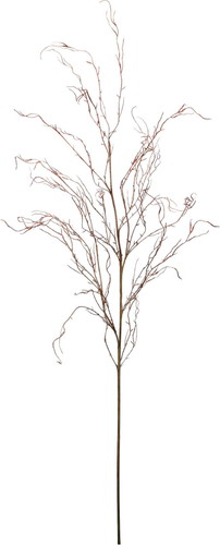 ロングブランチの画像