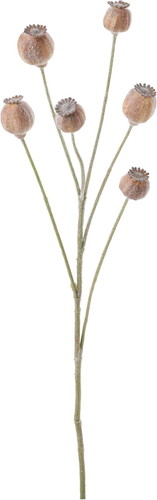 フロッキーポピーシードスプレーの画像