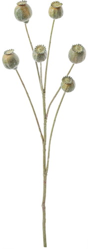 フロッキーポピーシードスプレーの画像