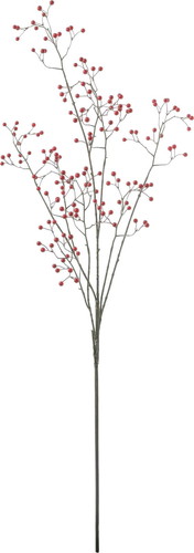 スモールベリーロングブランチの画像