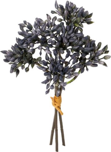 ベリーバンドル×3の画像