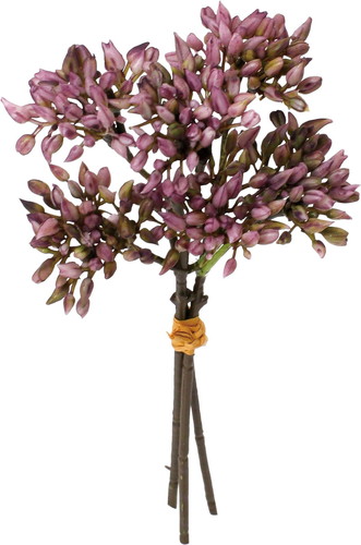 ベリーバンドル×3の画像