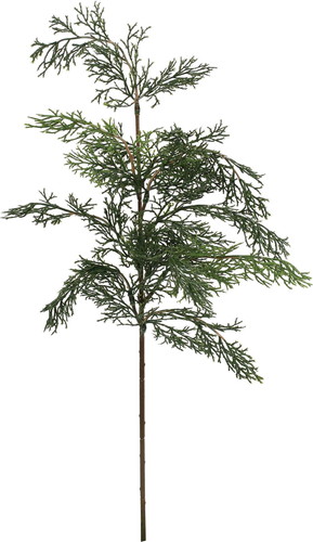 ゴールドクレストスプレーの画像