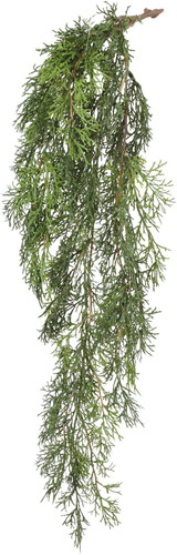 ゴールドクレストハンガーの画像