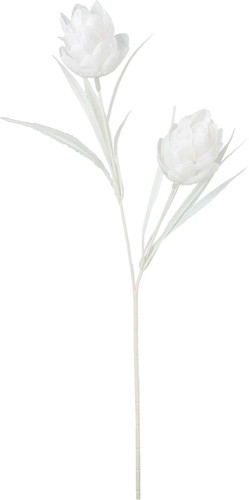 ネージュアーティチョークスプレーの画像