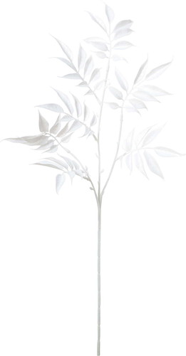 ネージュルスカススプレーの画像