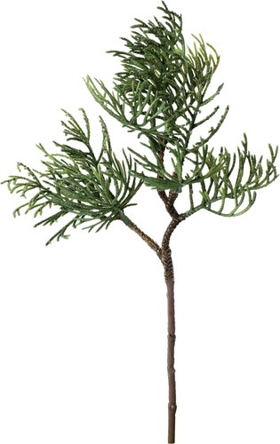 雅桧葉ショートの画像