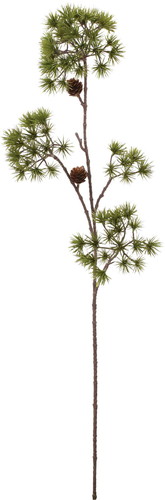 盆栽松大枝の画像