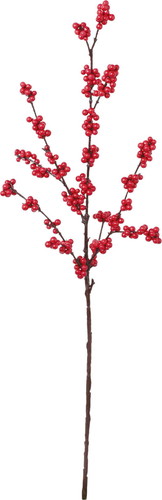 グロスベリースプレーの画像