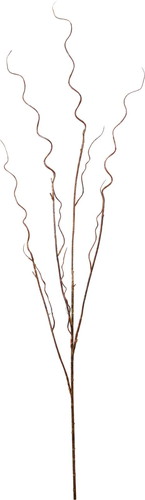 ワインディングペイントブランチの画像