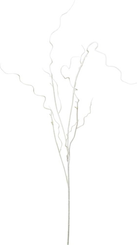 ワインディングペイントブランチの画像