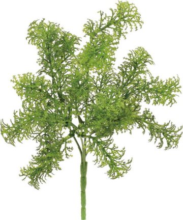 モスブッシュの画像