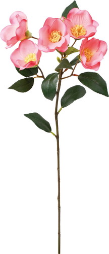 椿スプレーの画像