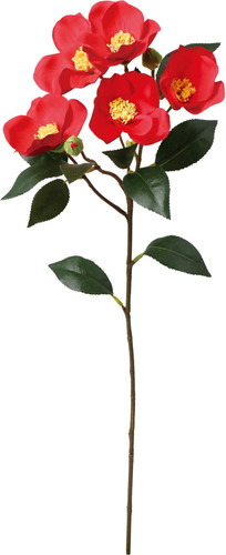 椿スプレーの画像