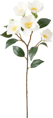 椿スプレーの画像