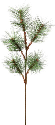 若松スプレーMの画像