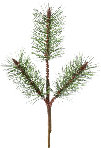 若松ピックSの画像