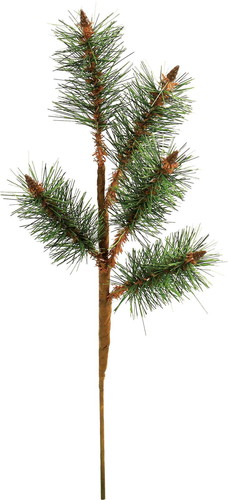 若松ピックMの画像