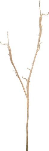 メタリックセッカヤナギの画像